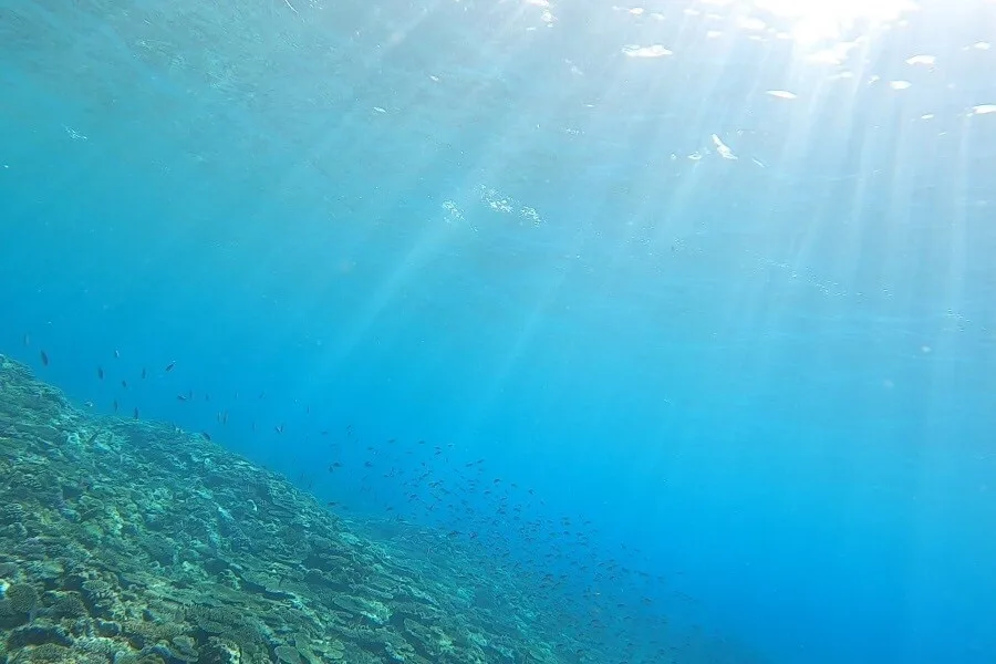 沖縄県北部・本部町のマリンショップCosmicOcean（コズミックオーシャン）のシュノーケリングツアー中の海から水面を見た写真